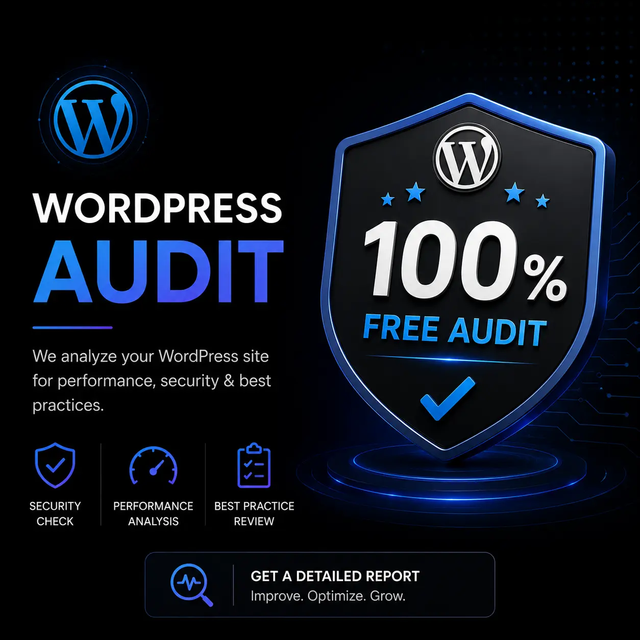 Audit Preview